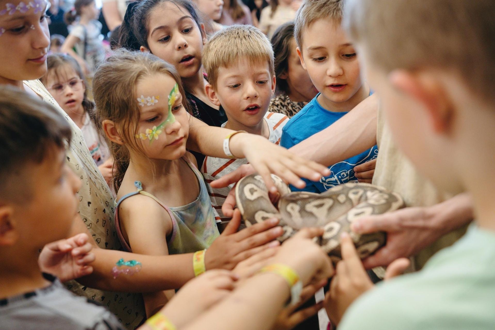 Group of children with face paint excitedly touching a snake being held by an adult.